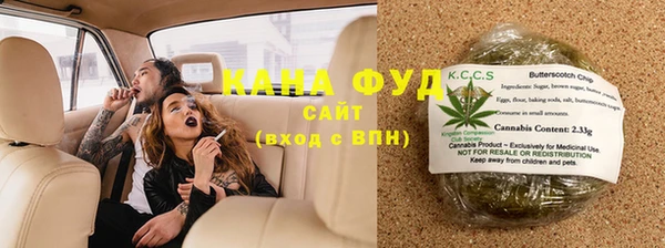 индика Михайлов
