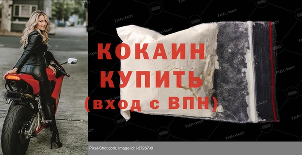 индика Михайлов