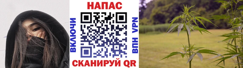 как найти   ссылка на мегу   Марихуана марихуана  Южно-Сухокумск 